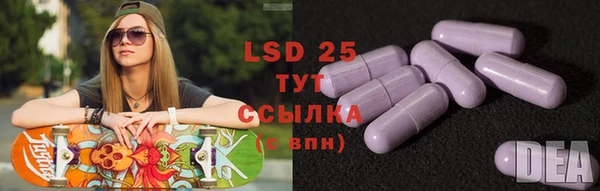 хмурый Абаза