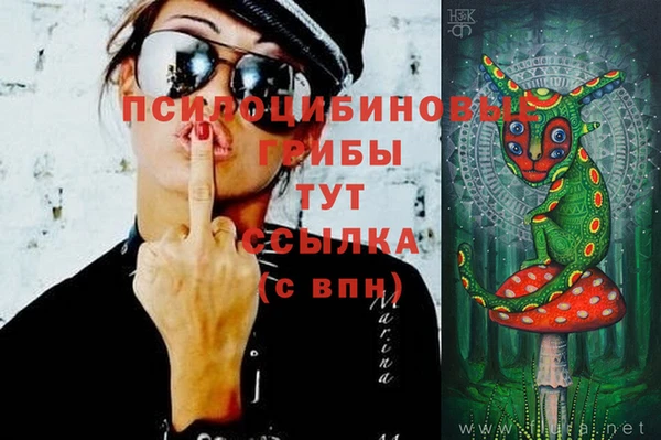 молекула духа Абинск