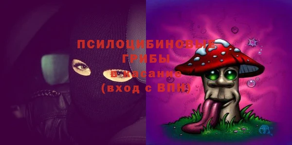 молекула духа Абинск