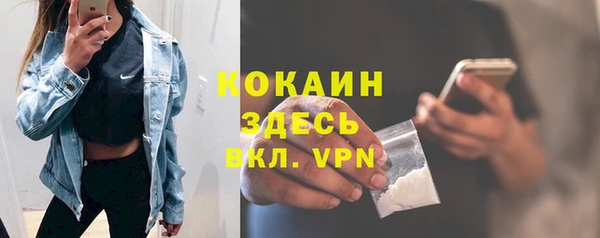 хмурый Абаза