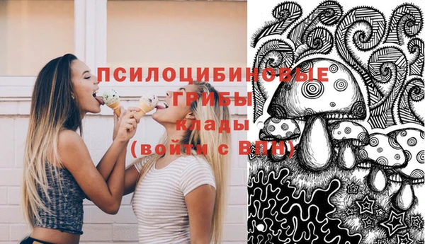 молекула духа Абинск