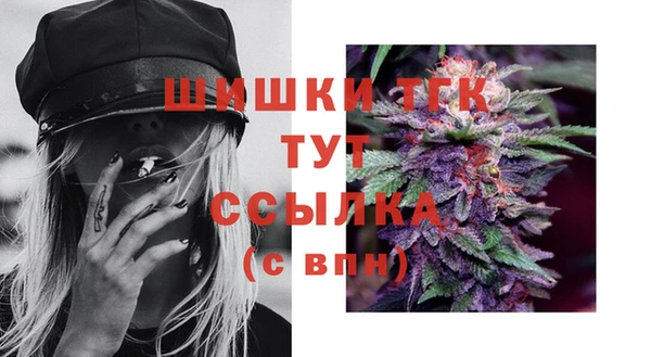 молекула духа Абинск