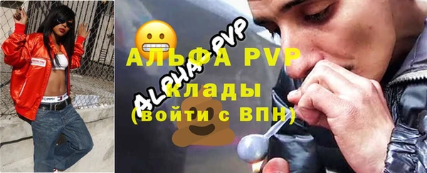 хмурый Абаза