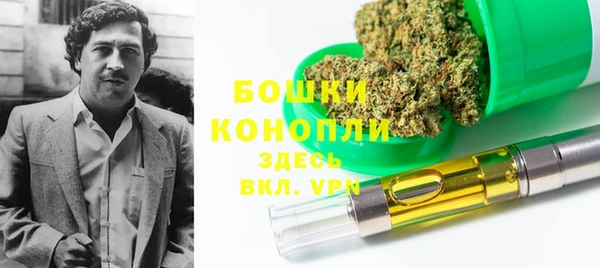 хмурый Абаза