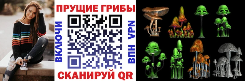Галлюциногенные грибы MAGIC MUSHROOMS  Балаково 